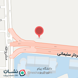 عکس اتو رنگ داوود متالیک