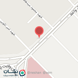 عکس مرغ بریان پرطلایی