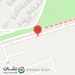 عکس گل فروشی زنبق