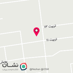 عکس سبزی خردکنی و آبلیموگیری چراغی