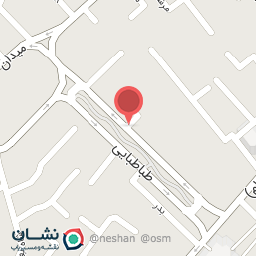 عکس کفش بچگانه کفشدوزک