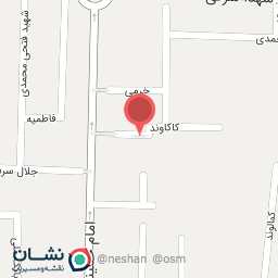 عکس گفتاردرمانی وحیده محمدی ثابت