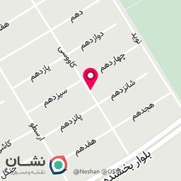 عکس پیتزا و ساندویچ تورج 