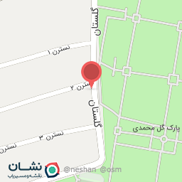 عکس سالن پیرایش لیزا مو