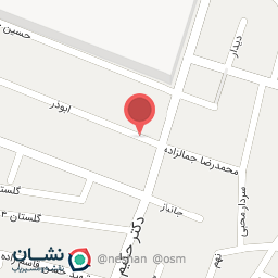 عکس پلاسکو حسن زاده