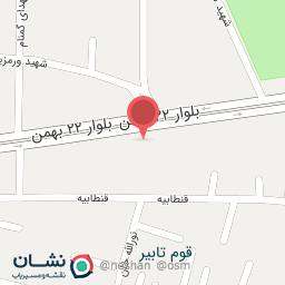 عکس پیتزا و ساندویچ رز