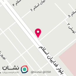 عکس تشخیص رنگ خودرو مهندس کیانی فر