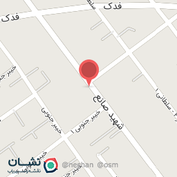 عکس موبایل دنی تل