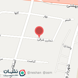 عکس دبستان غیرانتفاعی دخترانه گلهای رضوان 