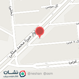 عکس پیتزا شهر