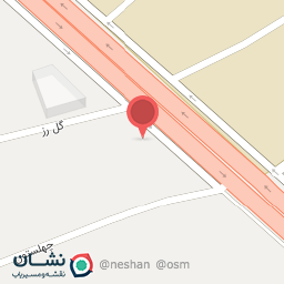 عکس زانتیا یدک محمدیان