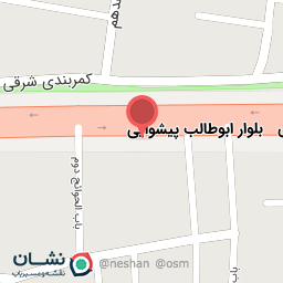 عکس اتو سرویس دوستان 