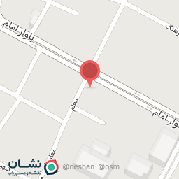 عکس پیزا و ساندویچ نارین