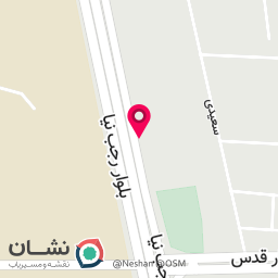 عکس صافکاری تخصصی PDR دستور