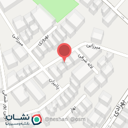 عکس نیلودیزاین 