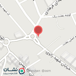 عکس قصابی موسوی