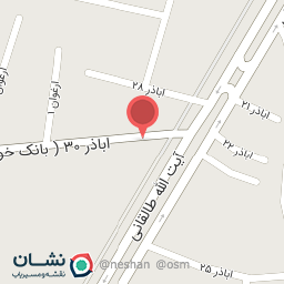 عکس فست فود آقای پیتزا