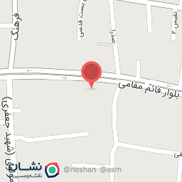 عکس تهیه غذای ترافیک