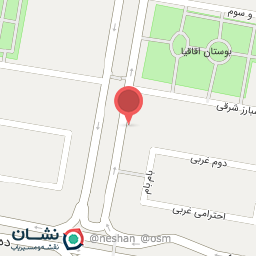 عکس پیتزا داوین