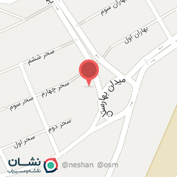 عکس لاستیک شاهین