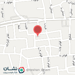 عکس دکتر پاشا نژاد شمسی