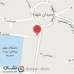 عکس نجاری زنگنه 