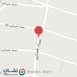 عکس   شهید صیاد شیرازی 55