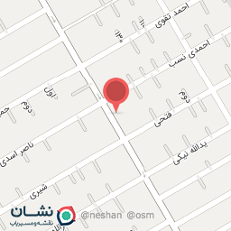 عکس پیتزا تک