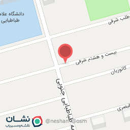 عکس پیتزا اسپایسی