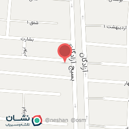 عکس لبنیاتی امینی