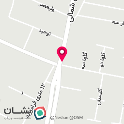 عکس رنگ ولایت احیاء و کراتین فاطمه ناصری