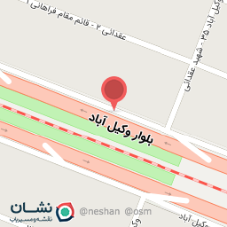 عکس دکتر الناز علوی