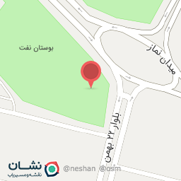 عکس پیتزا پارک اشکنان