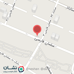 عکس دزدگیر و ریموت تسلا