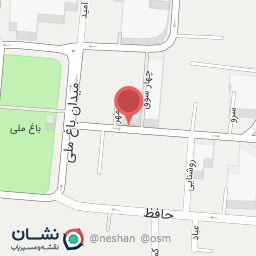 عکس کفش میشل