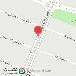 عکس دزدگیر آپشن