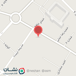 عکس کیف و چمدان تماشا