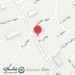 عکس پیتزا امین