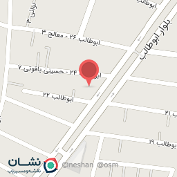 عکس چلوکباب کامیاب