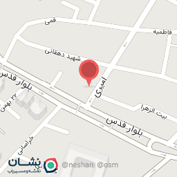 عکس فروشگاه دوو انصاری