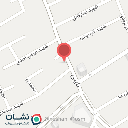 عکس فست فود نیم متری