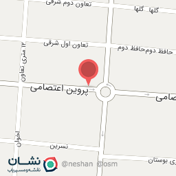 عکس دکتر سیده فهیمه ناصرعلوی