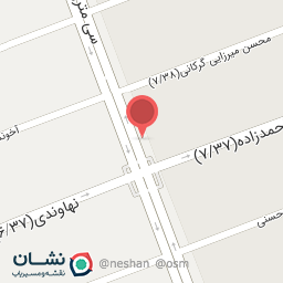 عکس تشخیص رنگ و کارشناسی خودرو آداک