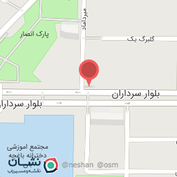 عکس تم تولد شایان