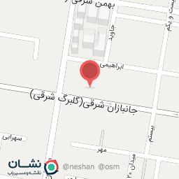 عکس هیئت کبوتران بقیع و دیوانگان آل الله