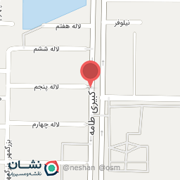 عکس دکتر فریبا خضرایی