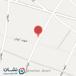 عکس ترشیجات امیر نویدی