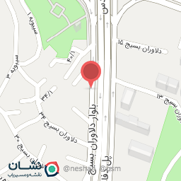 عکس  سوپر گوشت خاتون