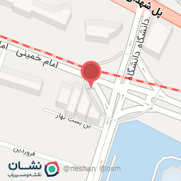 عکس دکتر رضا مصباحی