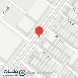 عکس پیتزا دلفین